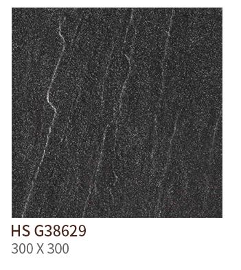 HS G 38629 ǥ̹