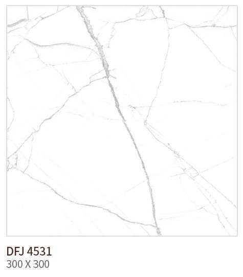 HS DFJ 4531 ǥ̹