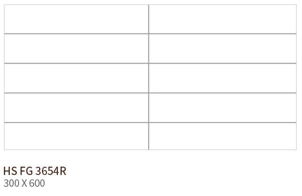 HS FG 3654R ǥ̹