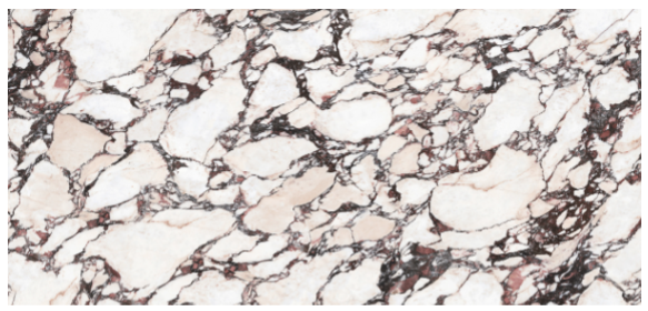 ĮīŸ öC Calacatta Viola ǥ̹