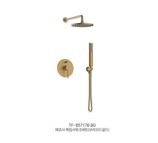 TF-B5717B.BG Ÿ 귯 ǥ̹