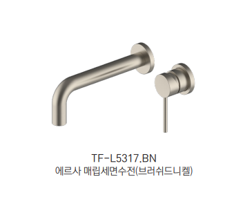TF-L5317.BN Ÿ  ǥ̹