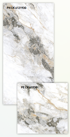 BT 612193G + BT 6193G ǥ̹