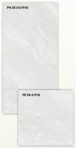 BT 612191G + BT 6191G ǥ̹