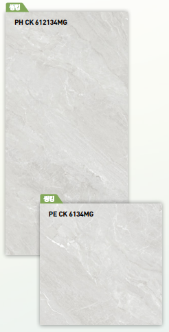 BT 612134MG + BT 6134MG ǥ̹