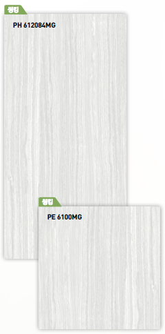 BT 612084MG + BT 6100MG ǥ̹