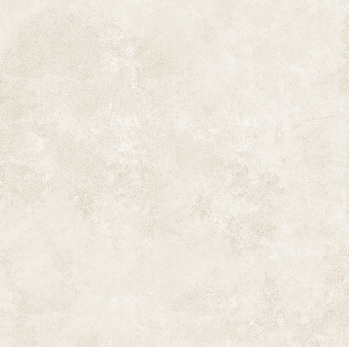 BBT-BOSTON IVORY ǥ̹