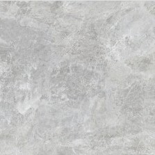 VCC TPOG60001(HPOG 60008) () ǥ̹