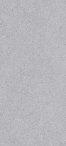 VCC AR-GR2448 () ǥ̹