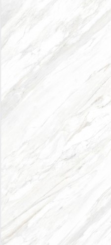 VCC M126H830B (ȥ) ǥ̹