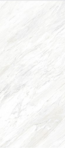 VCC M126P830B () ǥ̹