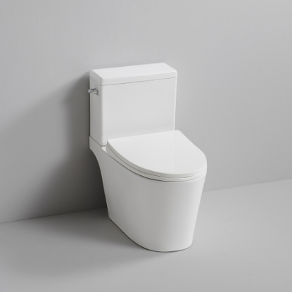 CC-733 ǽġ (μ) ǥ̹